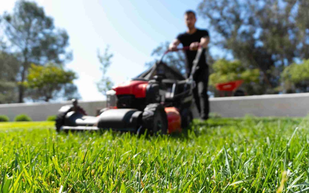 How Often Should the Lawn Be Mowed in Clay County, FL?