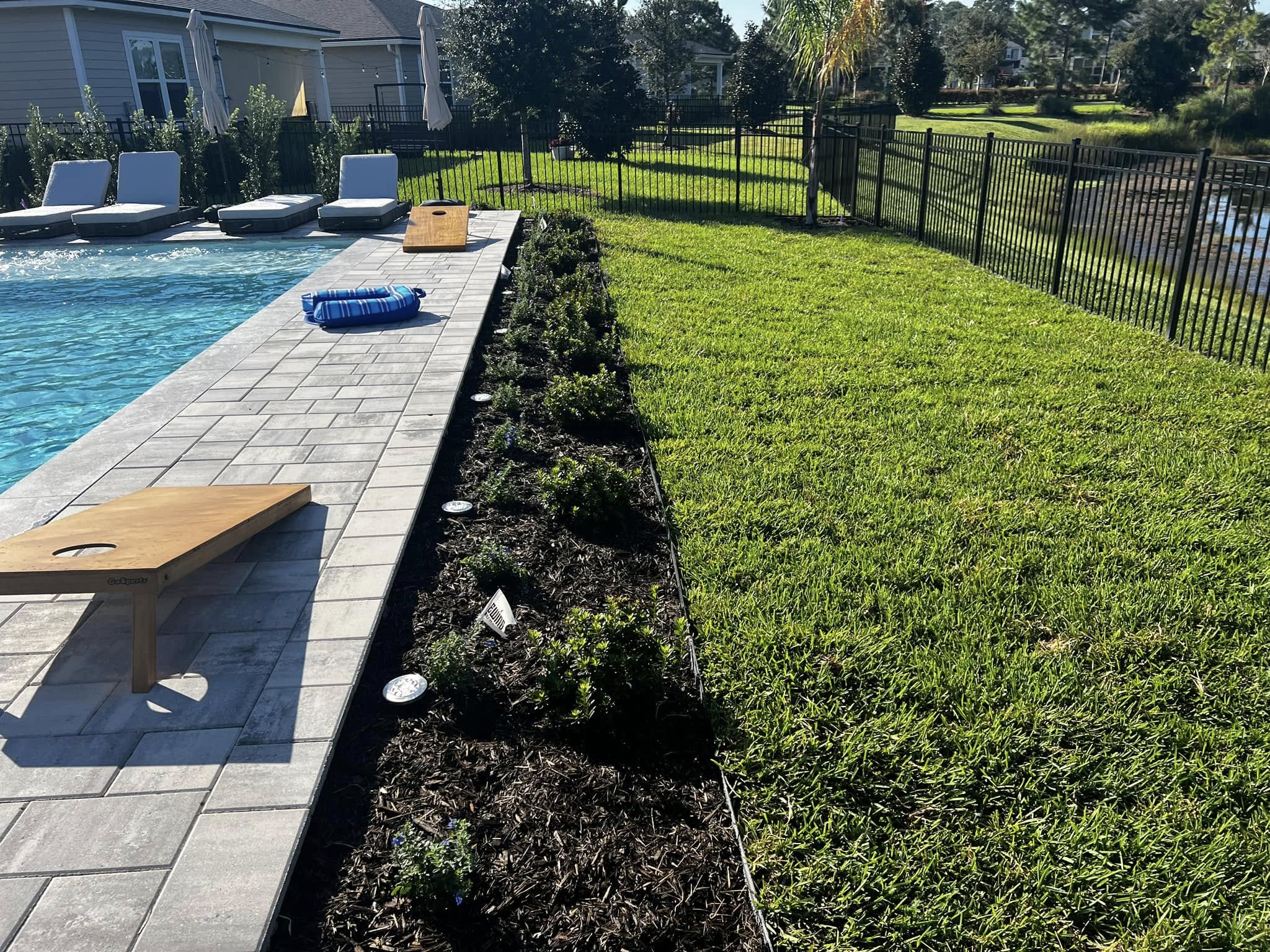 Lawn care company results on an Orange Park, FL lawn