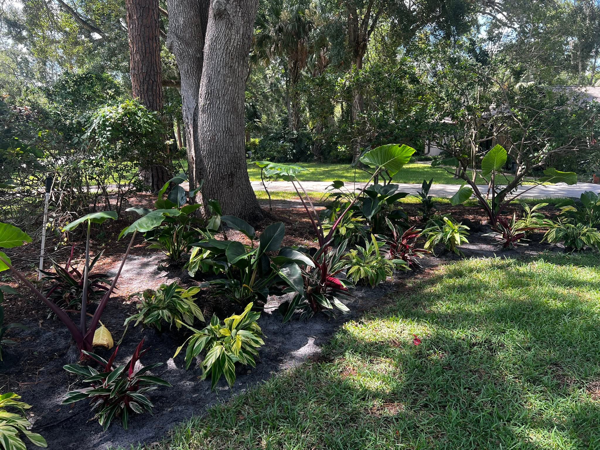 Landscaping company project with fresh beds and plantings in Oakleaf Plantation, FL