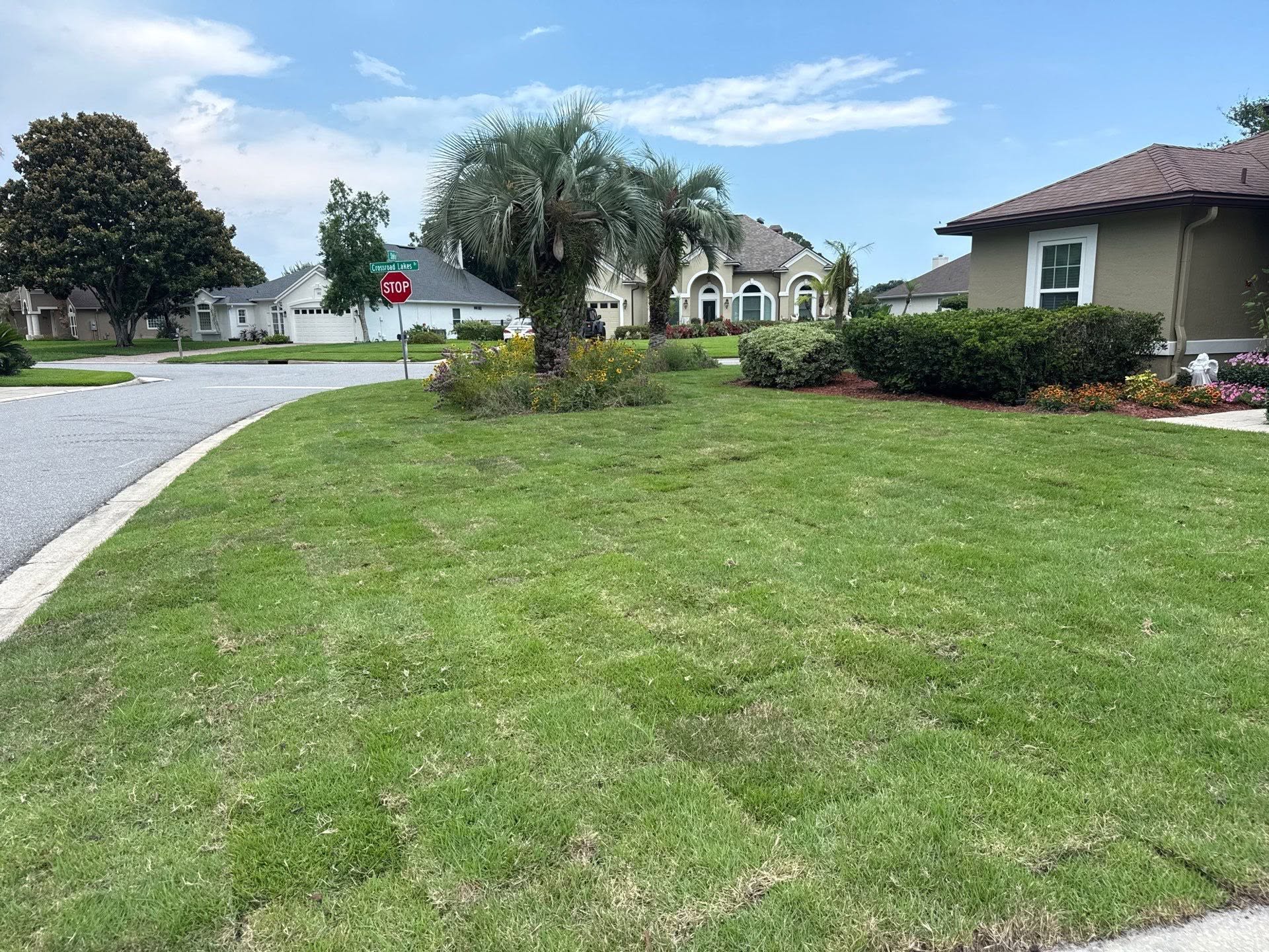 Sod installation contractors laying fresh sod on an Oakleaf Plantation, FL lawn
